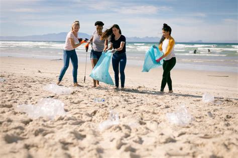 プラスチッククリーナー：その多様な用途と環境への影響